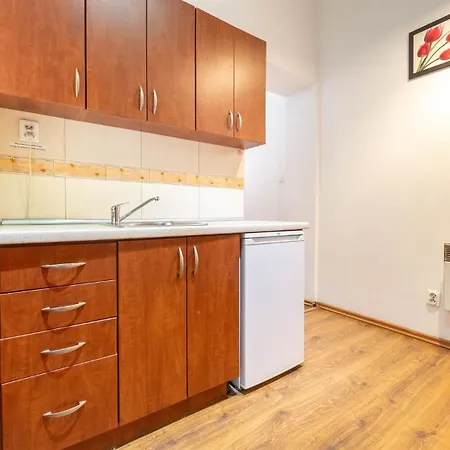 Apartmán Old Anser Krakov